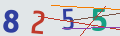 verifycode